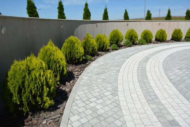 Best Residential Paver Driveway  in Homer, AK